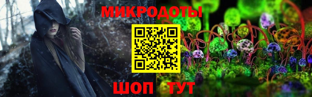 сколько стоит  Вход с VPN  Кашира  Галлюциногенные грибы Cubensis  Галлюциногенные грибы GOLDEN TEACHER 
